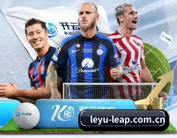 leyu-leap.com.cn的故事